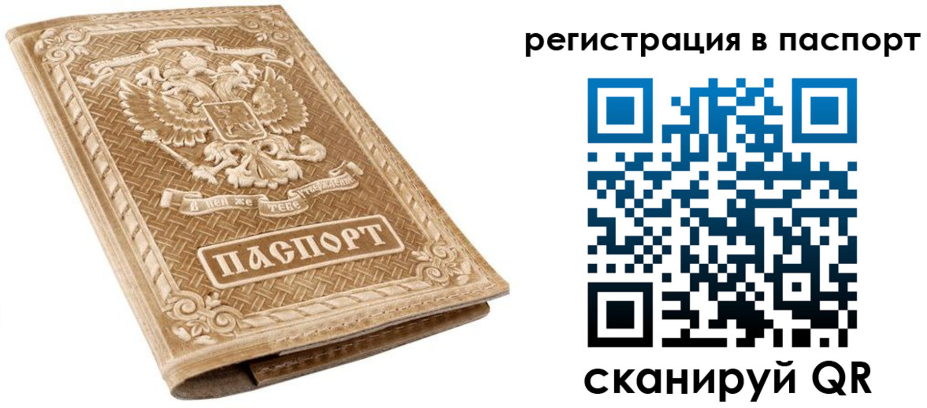 прописка в Выборге